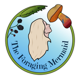 The Foraging Mermaid logo depicting a blonde haired head looking up at a Suillelus luridus mushroom, with a circle of hogweed, blackberries on the left, and the name beneath the circle