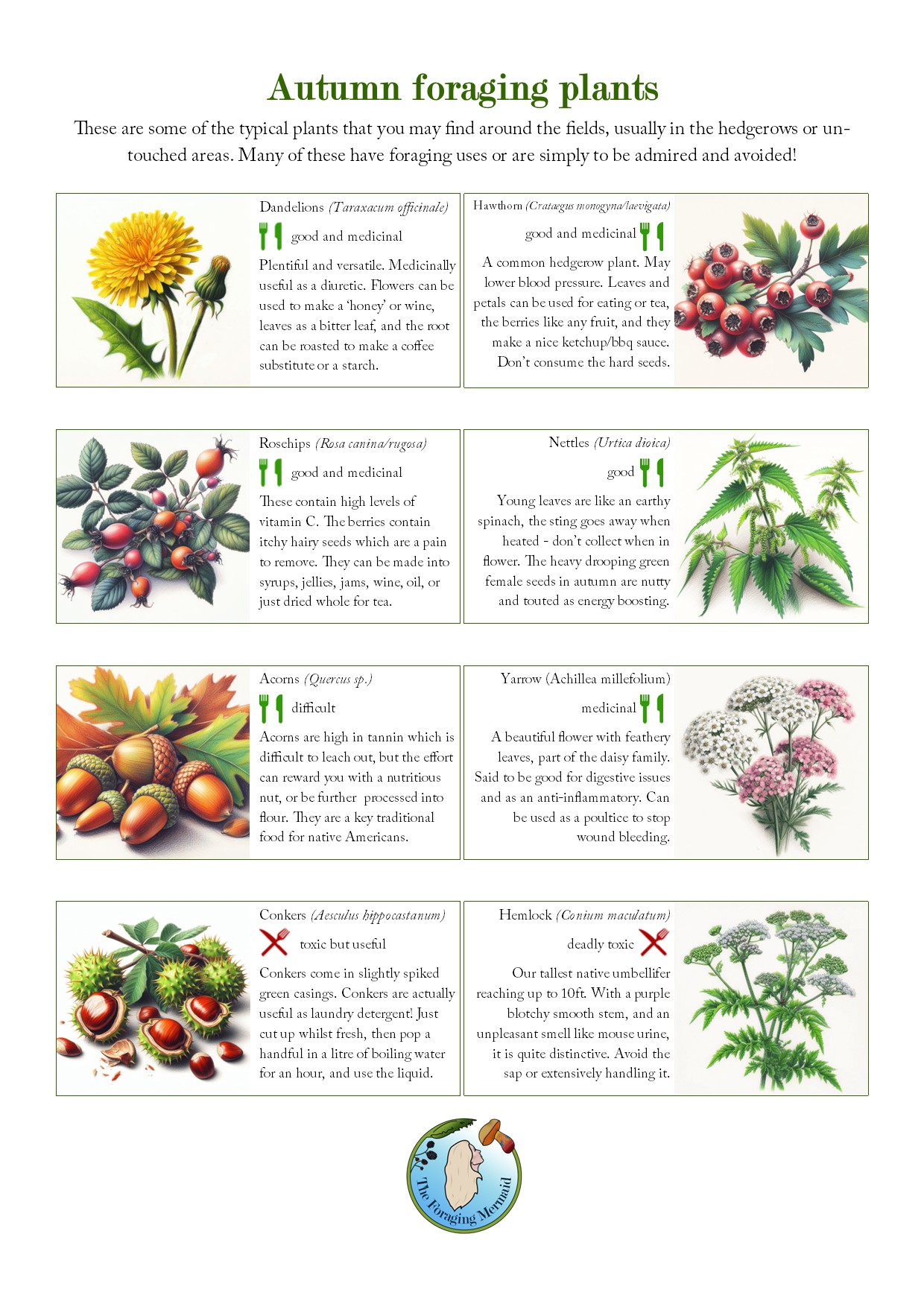 Plant Guide